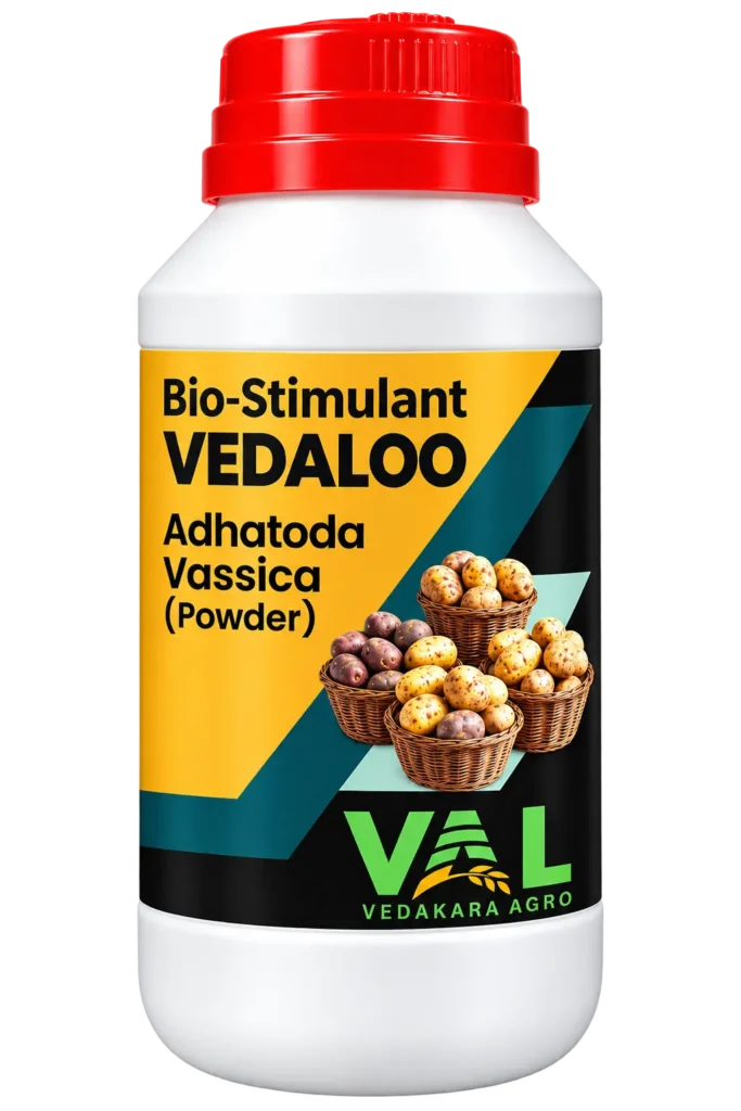 VEDALOO – Adhatoda vassica (Powder)
